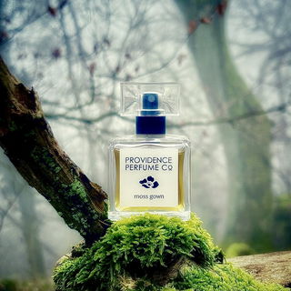 Moss Gown von Providence Perfume