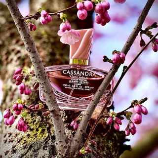 Cassandra Rose Intense - Jeanne Arthes