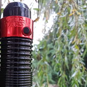 Ich dachte mir bei diesem schaurig, tristen Herbsttag, da passt auch ein schauriges Händchen ins Bild😘... (von Sunnyiland)