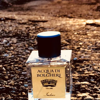 Acqua di Bolgheri - Indaco von Dr. Taffi