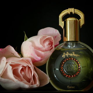 Gaïac - M. Micallef