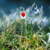 Miniatur wirkt ganz schön groß (by Agrafena)