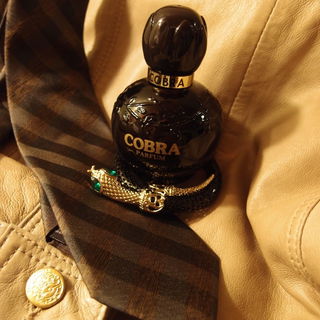 Cobra von Jeanne Arthes