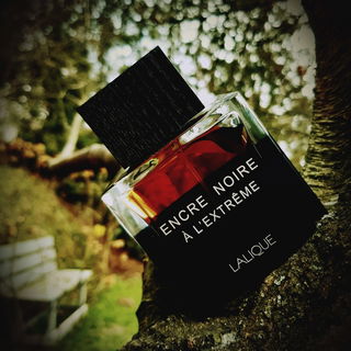 Encre Noire à L'Extrême von Lalique