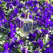 Floris‘ Herren-Klassiker im bunten Blumenmeer! (by Salva)