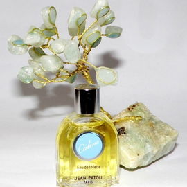 Câline (Eau de Toilette) - Jean Patou