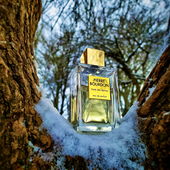 Ausschau nach dem Gewürzweg .. (by Irini)