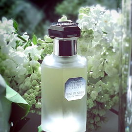 Teint de Neige (Eau de Parfum) - Lorenzo Villoresi