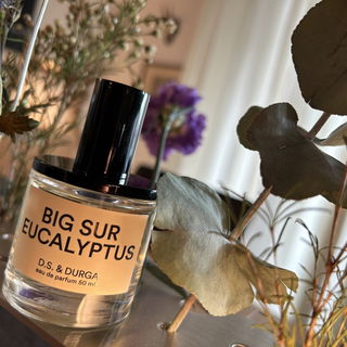 Big Sur Eucalyptus von D.S. & Durga