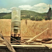 Das Heu auf den Feldern (von Floyd)