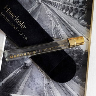 23 5 N Dreamland / 1° 22’ 36”E 51° 23’ 5”N von Haeckels