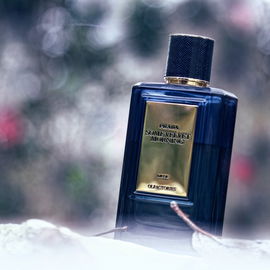 Olfactories - Some Velvet Morning - Prada