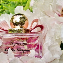 Signorina (Eau de Parfum) - Salvatore Ferragamo