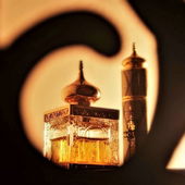 Ein Blick aus dem Palastfenster, edel und sonnig warm. Vielen lieben Dank an die Palastbesucher. (von Zora)