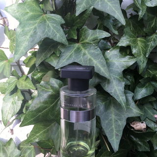 Balmy Days & Sundays - Ineke