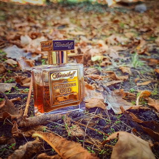 Mysterious Oud (Extrait de Parfum) - Bortnikoff