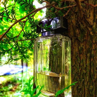 L'Instant de Guerlain pour Homme (Eau de Toilette) - Guerlain