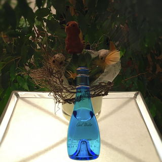 Cool Water Woman von Davidoff