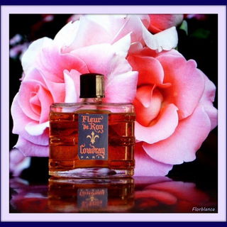 Fleur de Roy - E. Coudray