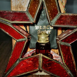 Black Amber - Michele Bergman