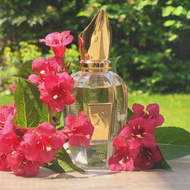 Scandal pour Homme (Eau de Parfum) - Roja Parfums