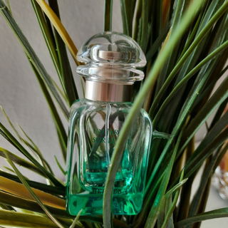Un Jardin sur le Nil (Eau de Toilette) by Hermès