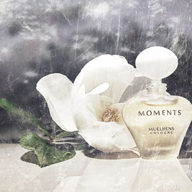 Moments (Eau de Toilette) - Priscilla Presley