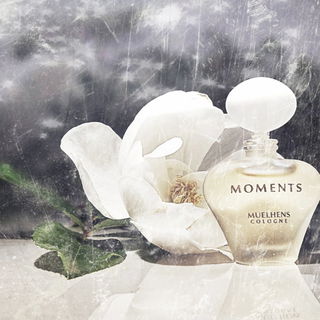 Moments (Eau de Toilette) - Priscilla Presley