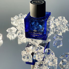 Spell On You - Louis Vuitton