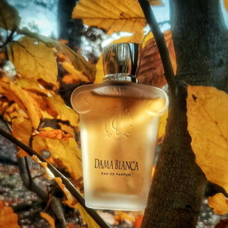 Casamorati - Dama Bianca (Eau de Parfum) - Xerjoff