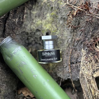 Inexcusable Evil - Toskovat'