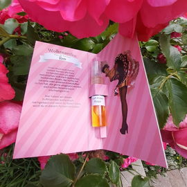 🌹💙🥰 ⚠️ Die Rose fährt ihre Dornen aus und sticht...Vielen lieben Dank für Euren Besuch bei den Rosen und mir.  Ich freue mich sehr darüber. Einen sonnigen Tag und eine schöne Restwoche wünscht Euch Kailani 🌹💙🥰