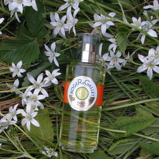 Fleur d'Osmanthus - Roger & Gallet