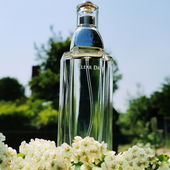 Blauer Himmel über der Schneespiere (von GreenIvy)