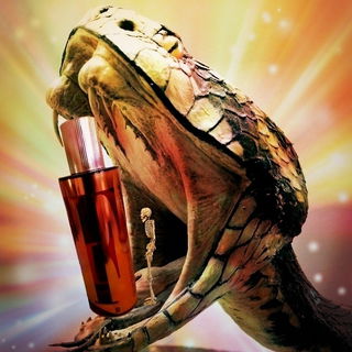 GFF Donna - Gianfranco Ferré