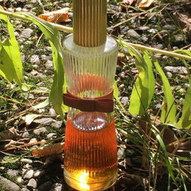 Youth Dew Amber Nude - Estēe Lauder
