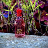 …📷🌍 Thank you. Danke schön. Merci beaucoup. Muchas gracias. Dōmo arigatō gozaimasu 💐… (von Kokusai)