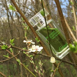 Moment de Bonheur L'Eau - Yves Rocher