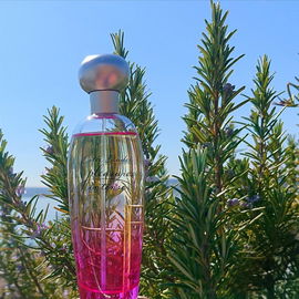 Intensiv blumig, aromatisch - a great pleasure! 🌺 Danke für Eure Besuche 🥰