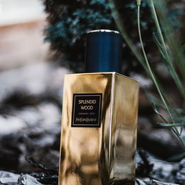 Splendid Wood - Yves Saint Laurent