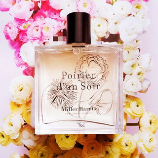 Poirier d'un Soir - Miller Harris