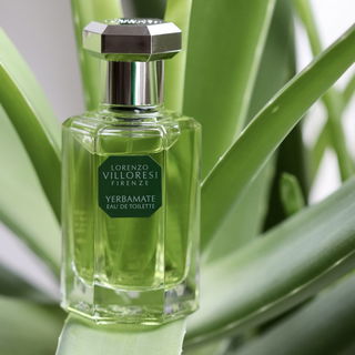 Yerbamate von Lorenzo Villoresi