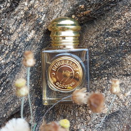 Goddess (Eau de Parfum) - Burberry