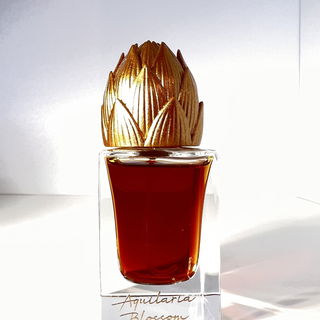 Aquilaria Blossom von Areej Le Doré