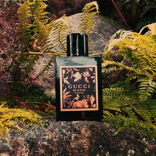 Bloom Parfum von Gucci