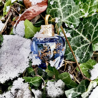 Die ersten Veilchen erwachen aus ihrem Winterschlaf.