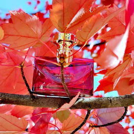🍁🍂 Hello autumn! 😊🍁🍂