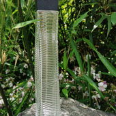 Im Bambuswald (by GreenIvy)