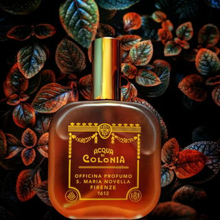 Patchouli (Eau de Cologne) - Santa Maria Novella