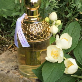 Aqua Allegoria Jasminora - Guerlain